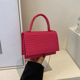 Vintage High Solid Leisure Chain Handbags For Women