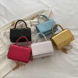 Vintage High Solid Leisure Chain Handbags For Women