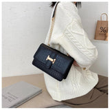 Square Shoulder Bags For Women Crossbody Bags Female Chain Puse And Bags