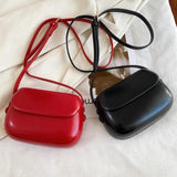 Small Square Bag Mini Messenger Bag for Women