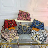Chain Serpentine Crossbody Bag for Women