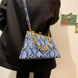 Chain Serpentine Crossbody Bag for Women