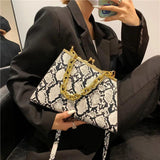 Chain Serpentine Crossbody Bag for Women