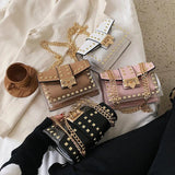 Transparent Rivet Handbag Lady Travel
