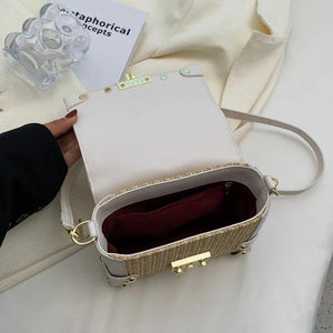 Small Square Rivet Straw Crossbody Bags for Women