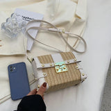 Small Square Rivet Straw Crossbody Bags for Women