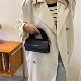 Furry Women Handbag Ladies Shoulder Crossbody Bag High End PU Chain