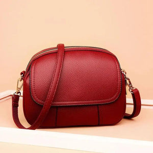 Women's Small Casual Messenger Bag Crossbody Handbag