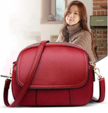 Women's Small Casual Messenger Bag Crossbody Handbag