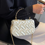 Small Tote Bag w/Metal Chain Women's Handbag