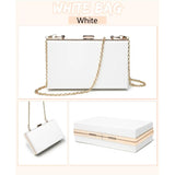 Clear Acrylic Crossbody Purse with Chain Shoulder