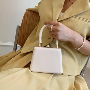 Vintage Mini Box Hand Bag Clutch Crossbody Purse