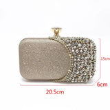 Silver Crystal Evening Clutch for Wedding Party
