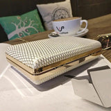 Elegant Mini Clutch Bag with Chain for Party Banquet