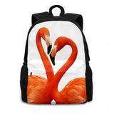 Flamingo Pink Birds Animals Nature Wildlife Wild Animals Tropical