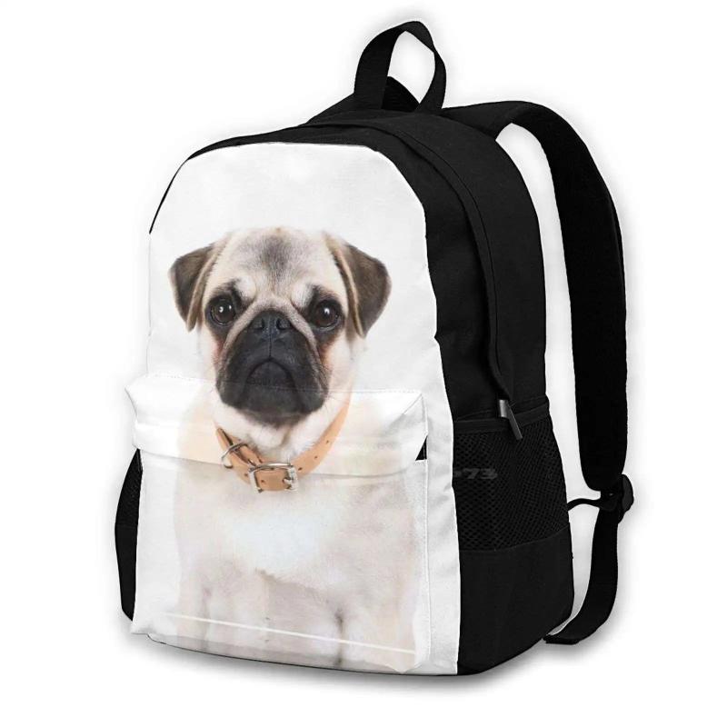 Fawn Pug Puppy 3D Print Backpack Casual Bag