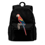 Small Colorful Parrot Perch Schoolbag Backpack