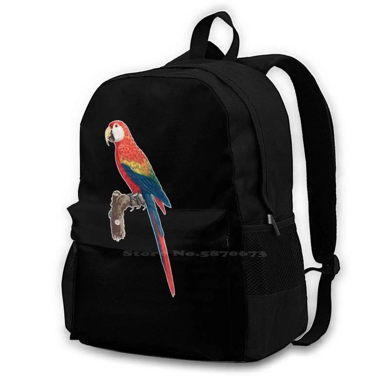 Small Colorful Parrot Perch Schoolbag Backpack
