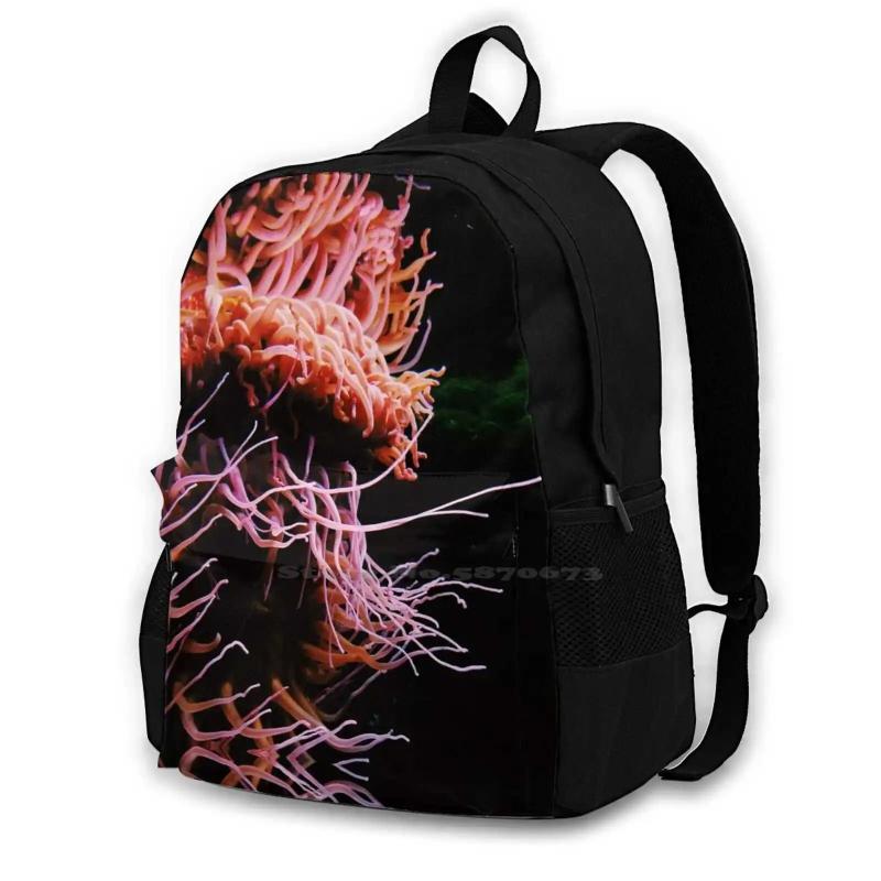 Sea Life Large Capacity Backpack Laptop Travel Bags