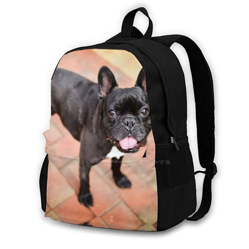 Happy Frenchie Bulldog Backpack Schoolbag Pet Animal