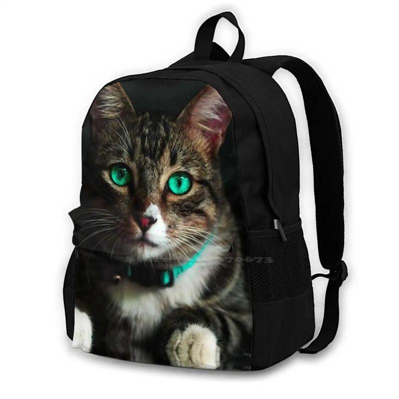 Cat 3D Print Backpack Casual Bag Cat Cat And Eyes Nose Face Cat