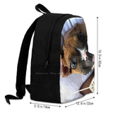 Stylish Backpacks for Men Women Teenagers Girls Bags