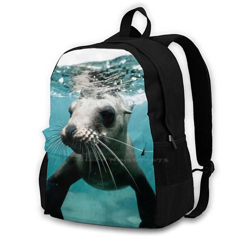 Seal Ocean Wildlife School Bag Big Capacity Backpack Laptop 15 Inch