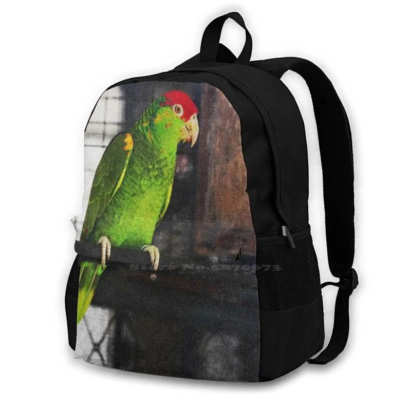 Green and Red Budgie Backpack for Teen College Student