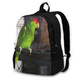 Green and Red Budgie Backpack for Teen College Student