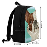 French Bulldog School Bag Big Capacity Backpack Laptop 15 Inch