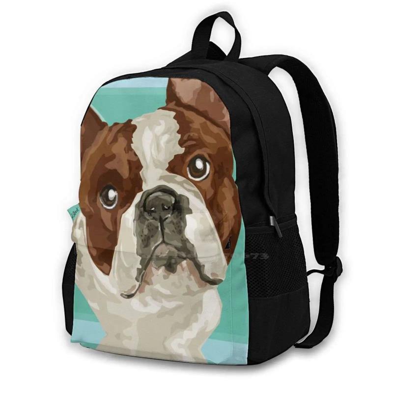 French Bulldog School Bag Big Capacity Backpack Laptop 15 Inch
