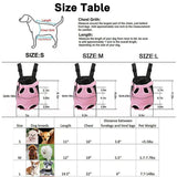 Nylon Mesh Pet Carrier Backpack Front Bag Tote Sling Carrier