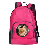 Foldable Ultralight Outdoor Folding Backpack Travel Daypack Bag