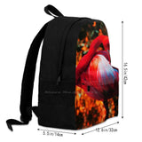Flamingo Bird Backpack for Men Women Girls Teenage