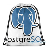 PostgreSQL USB Charge Backpack Men School Bags Women Bag Travel Laptop