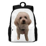 Sasha G Small Dog Travel Laptop Backpack - Decalpetpal