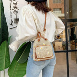 Straw Woven Mini Backpack for Girls Summer Small Student Ladies Bag
