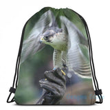 Funny Falconry USB Charge Backpack School Travel Laptop Bag