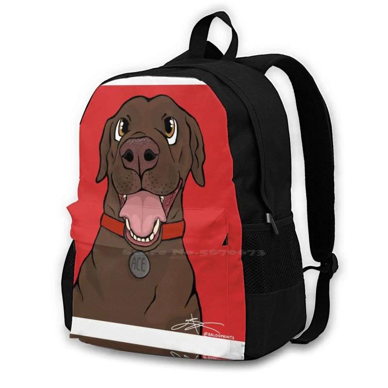 Chocolate Lab Dog Portrait Backpack