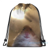 Funny Hamster Meme Graphic Print USB Charge Backpack