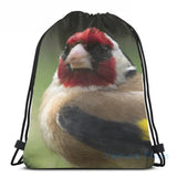 Goldfinch USB Charge Backpack Men Women Travel Laptop Bag
