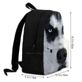 Husky Dog Art - Bat Man Arrivals Satchel Schoolbag Bags Backpack
