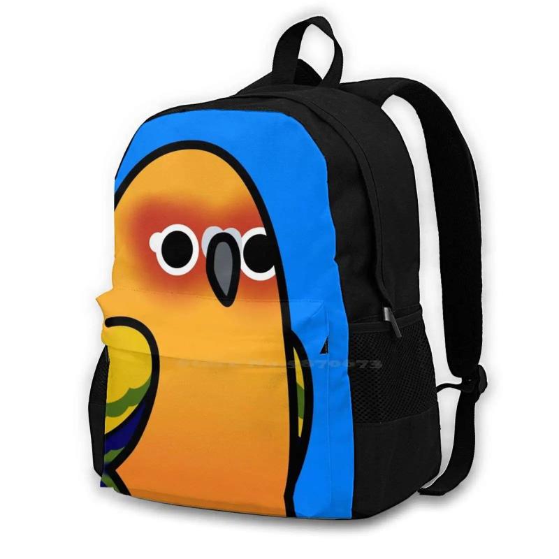 Sun Conure School Bag Big Capacity Backpack Laptop 15 Inch