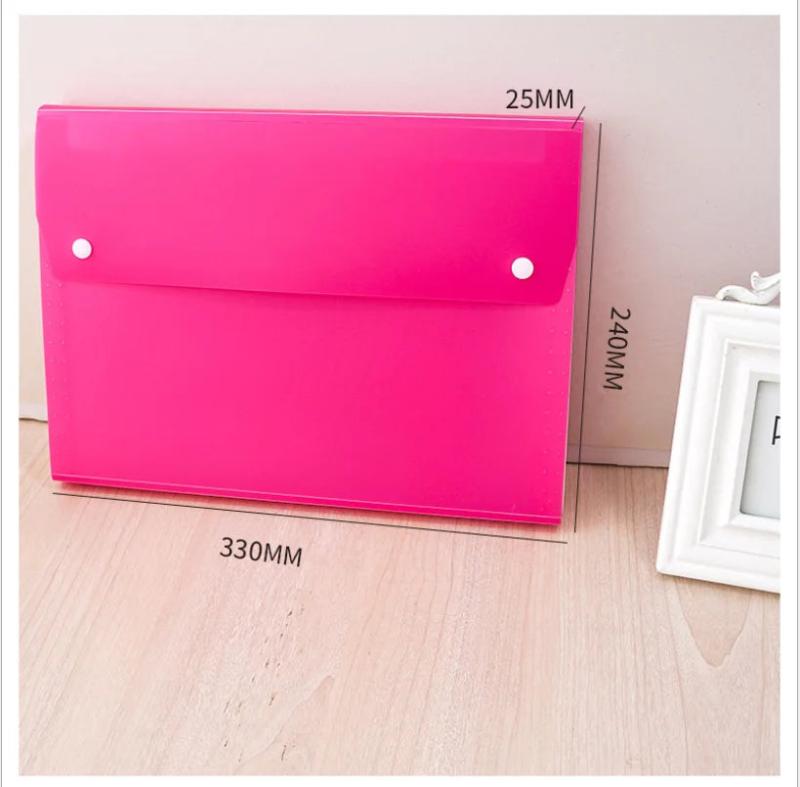 Large Capacity Document Storage and Sorting Bag