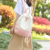 Canvas Backpack for Girls Travel School Luggage B-001