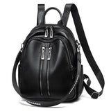 Women's Backpack Large Capacity Travel Bag