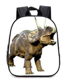 13 Inch Cartoon Dinosaur Kids Backpack Kindergarten School Bag