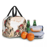 Biewer Reusable Lunch Box Leakproof Dog Thermal Cooler Insulated Bag