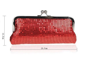 Aluminum Sheet Handbag Evening Makeup Bag