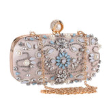 Fashionable Evening Bag for Women - Dinner Bag Wallets